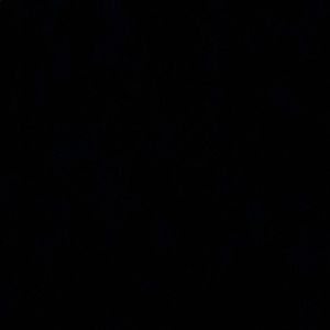 Meet your Posher, Isabelle